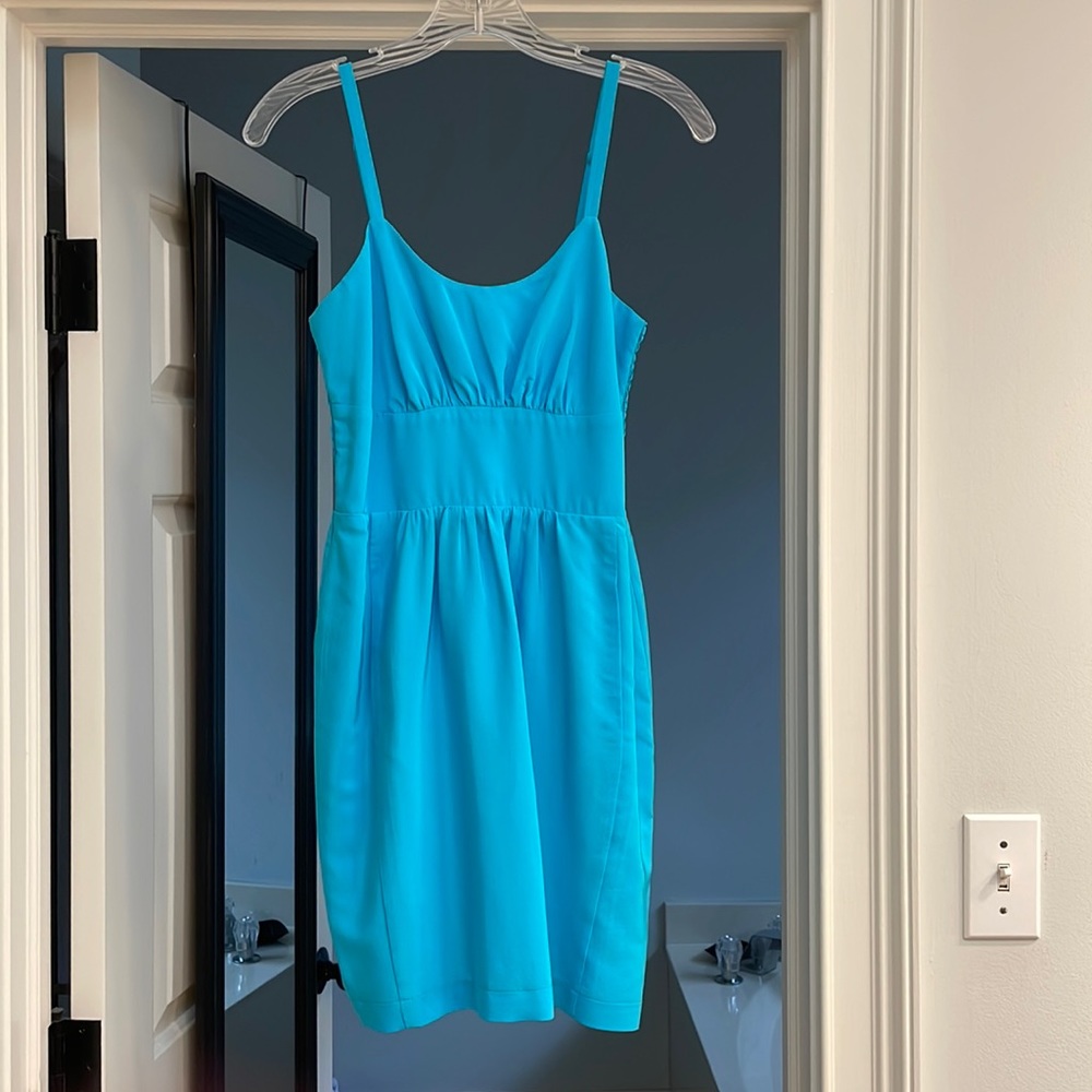 Blue Amanda Uprichard dress